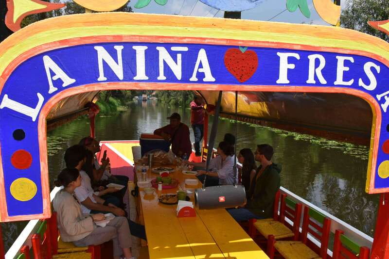 Xochimilco Ecological Tour – Away From the Crowds (3 Hours) - The chinampa system, explained where it was used