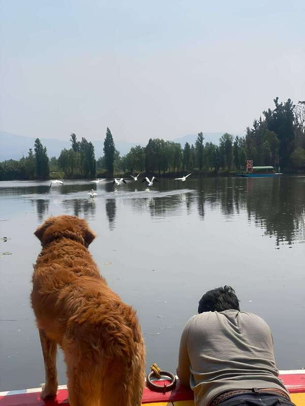 Xochimilco Ecological Tour – Away From the Crowds (3 Hours) - The axolotl sanctuary stop