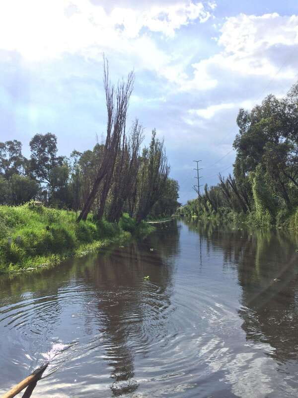 Xochimilco Ecological Tour – Away From the Crowds (3 Hours) - A three-hour pace that gives you time to notice things