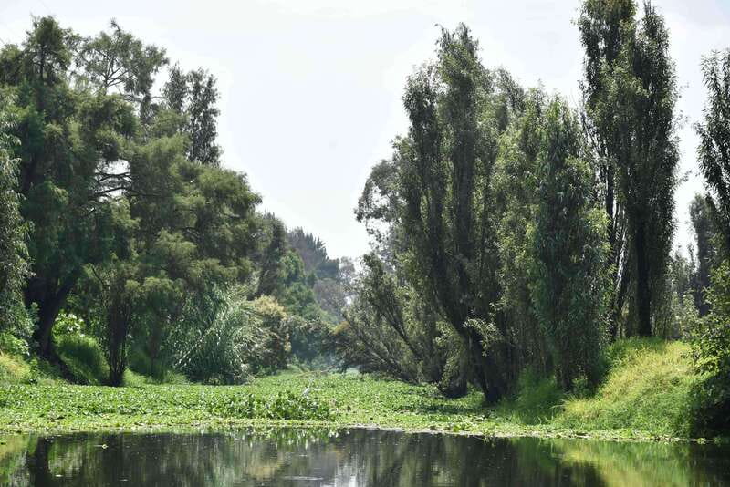 Xochimilco Ecological Tour – Away From the Crowds (3 Hours) - Leaving Cuemanco Pier for calmer canals