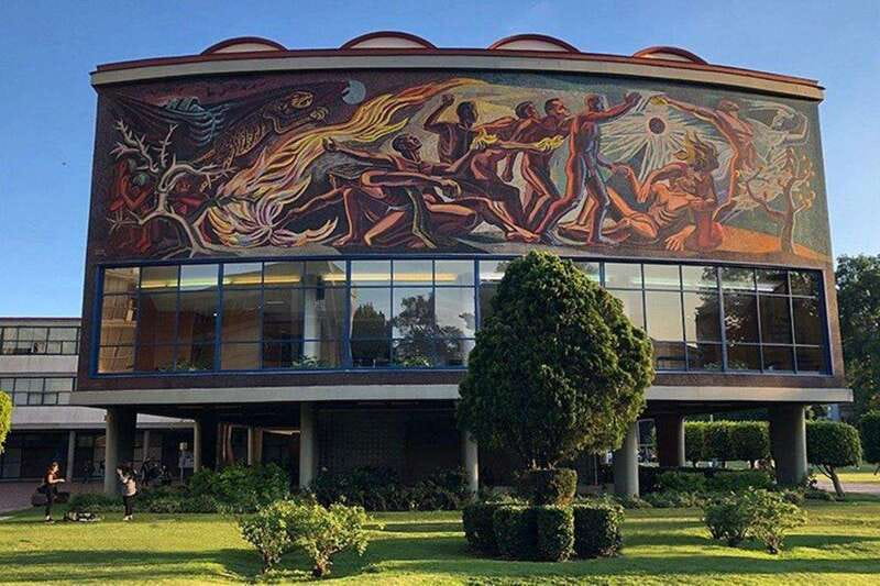 Xochimilco floating gardens, Coyoacan and UNAM murals - Who will enjoy this day most