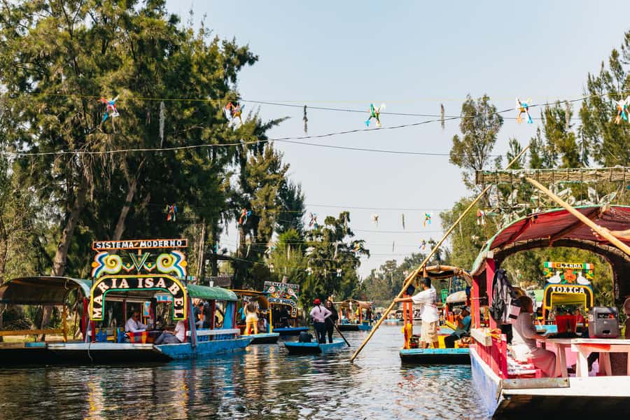 Xochimilco: traditional boat tour, culture, and fun. - Boarding the decorated trajinera